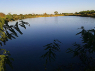 857 HA FAZENDA TORRINHA l E ll BARRA-BA