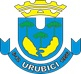 Leilão Simultâneo de ativos inservíveis da Prefeitura de Urubici/SC.